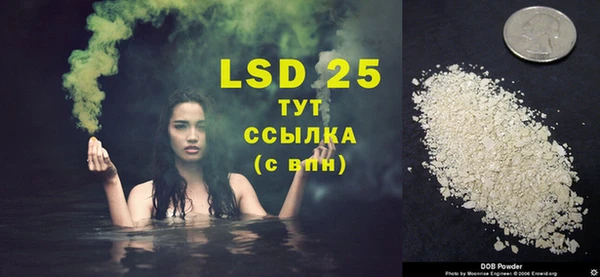 амф Инта