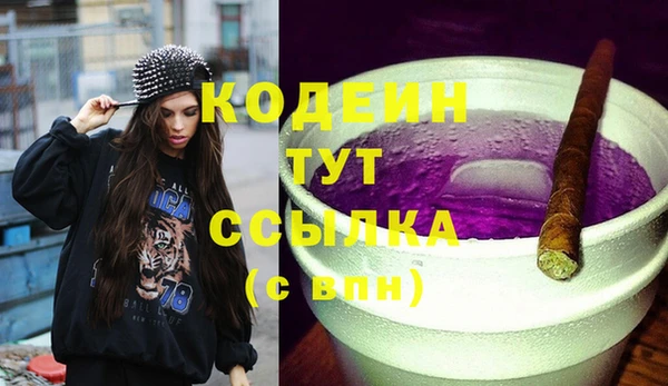 прущий лед Инсар