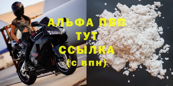 прущий лед Инсар