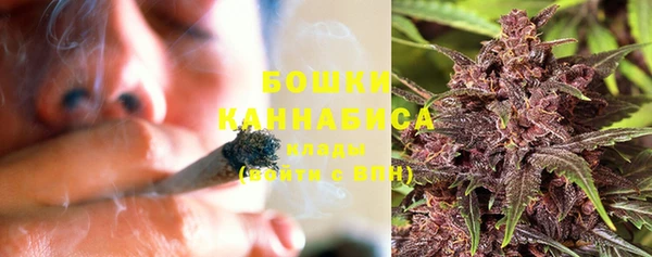 амф Инта