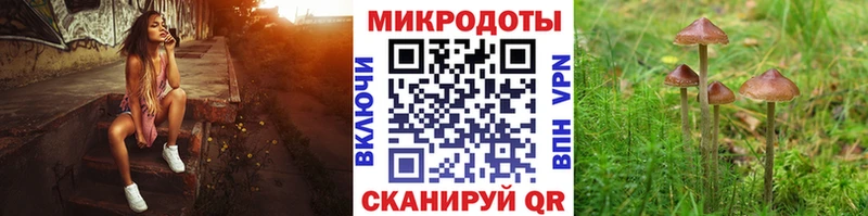 Купить где  Кологрив  Галлюциногенные грибы мухоморы 